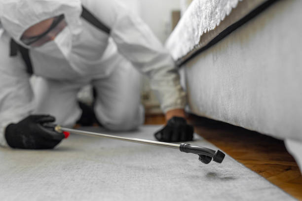 Professional Termite Control technician working in Highlands, CA