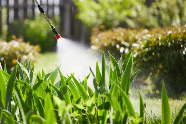 24/7 Emergency Termite Control experts in Highlands, CA